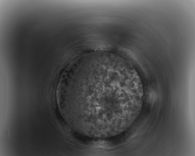 X0000088390695200705291408