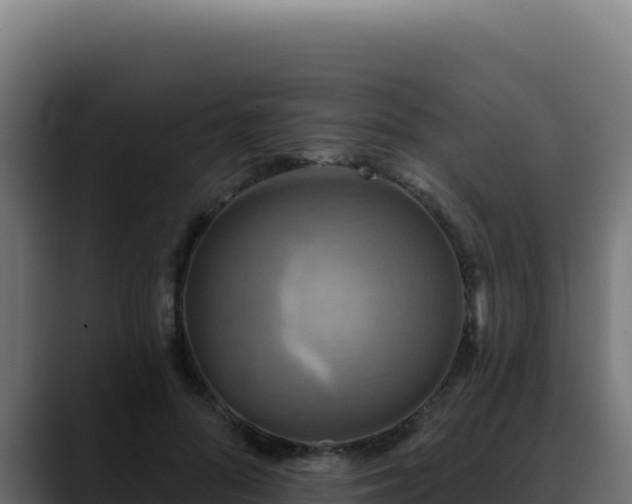 X0000088390696200705291408