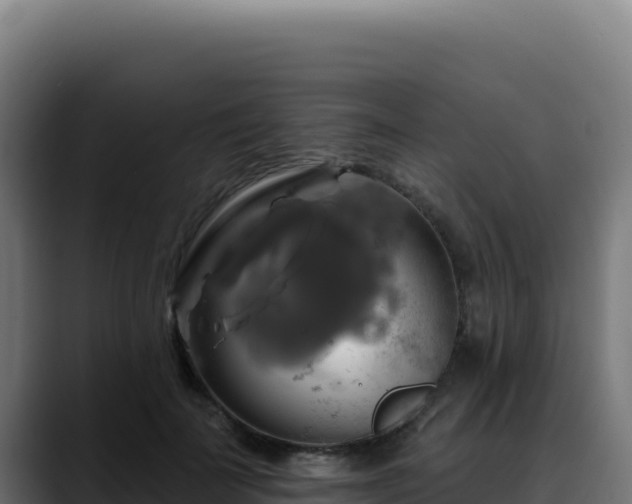 X0000088390699200705291408