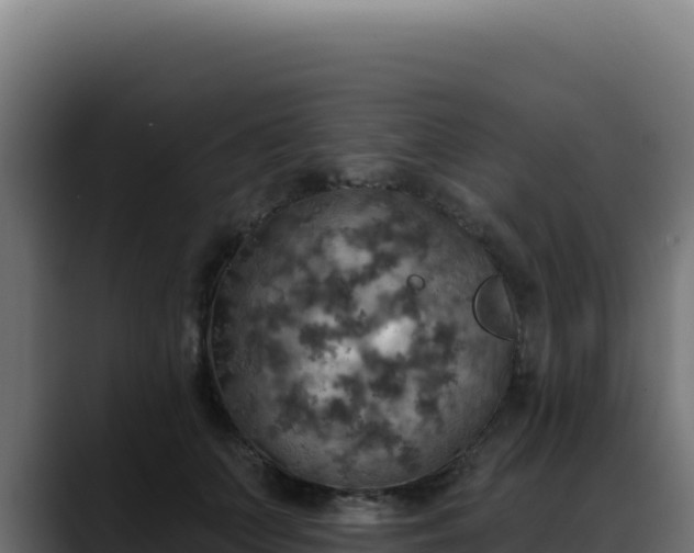 X0000088390703200705291408