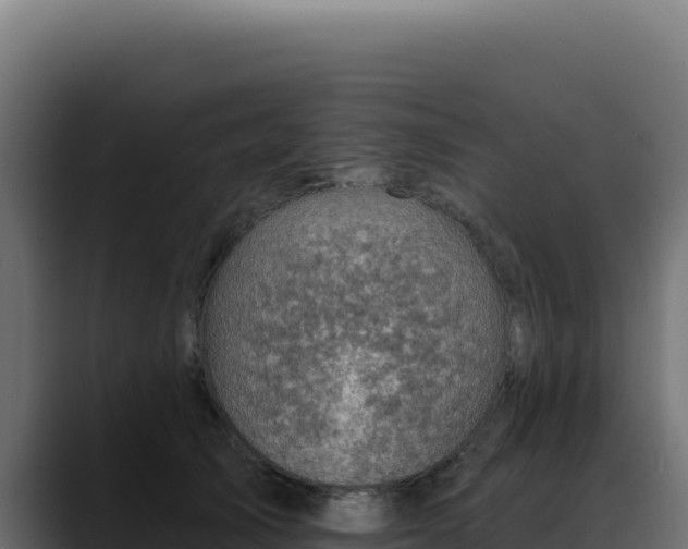 X0000088390705200705291408