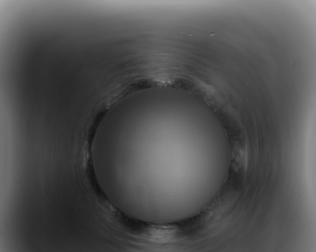 X0000088390707200705291408