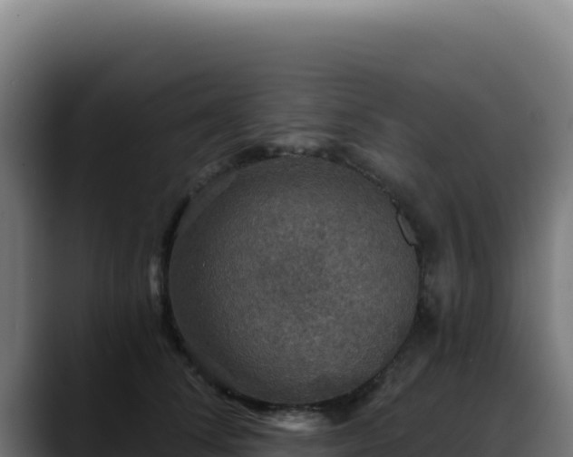 X0000088390708200705291408