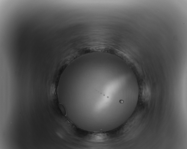 X0000088390711200705291408