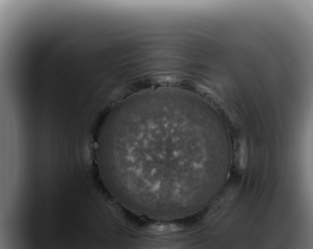 X0000088390712200705291408