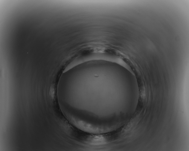 X0000088390715200705291408