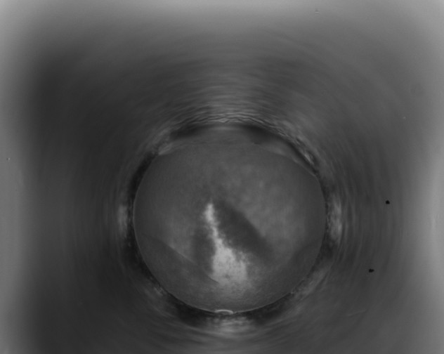 X0000088390716200705291408