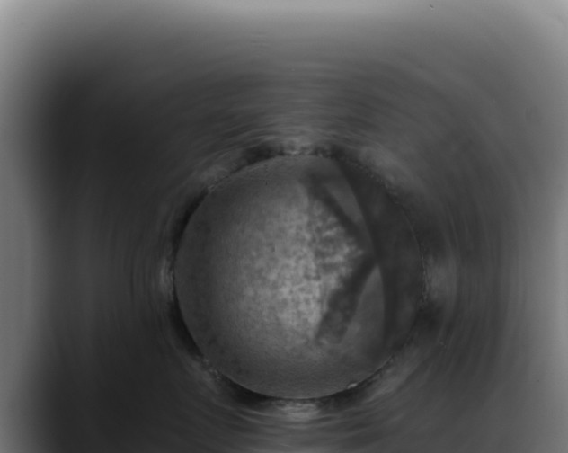 X0000088390719200705291408