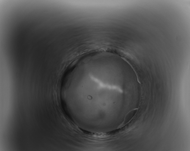 X0000088390720200705291408