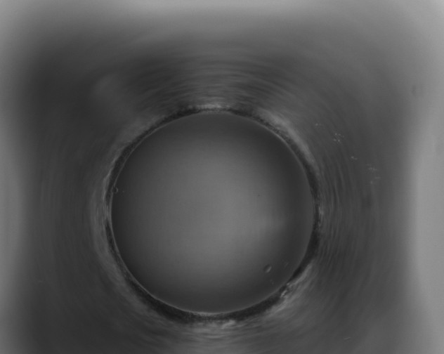 X0000088390721200705291407