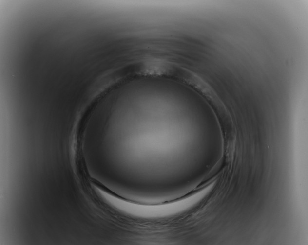 X0000088390722200705291407