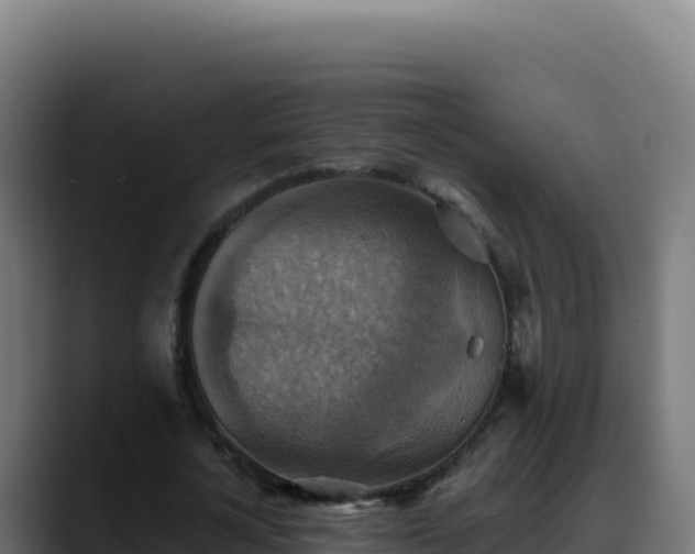 X0000088390724200705291407