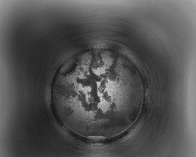 X0000088390725200705291407