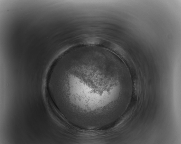 X0000088390726200705291407