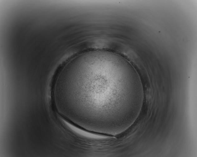 X0000088390727200705291407