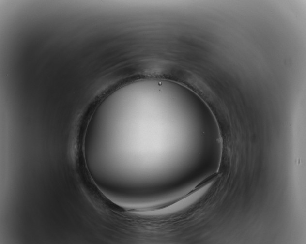 X0000088390728200705291407