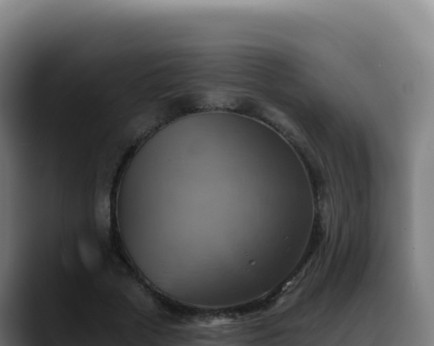 X0000088390729200705291407