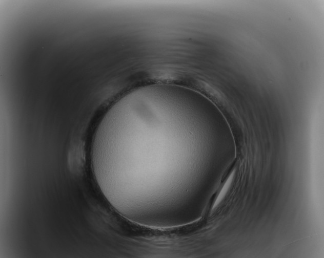 X0000088390731200705291407