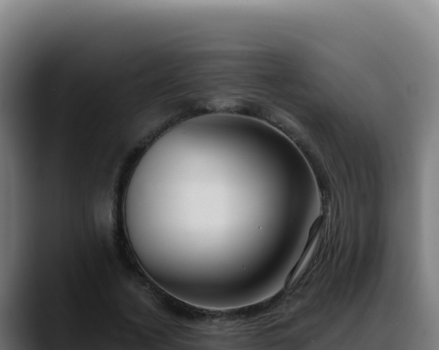 X0000088390732200705291407