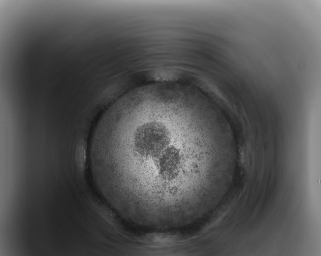 X0000088390733200705291408