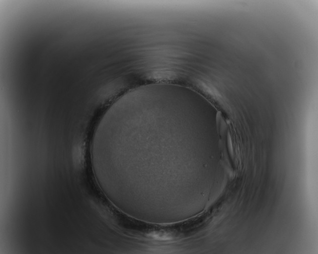 X0000088390735200705291408