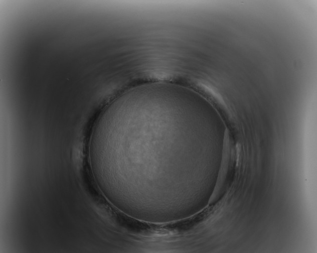 X0000088390736200705291408