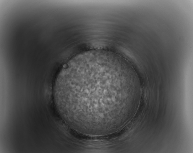 X0000088390737200705291408