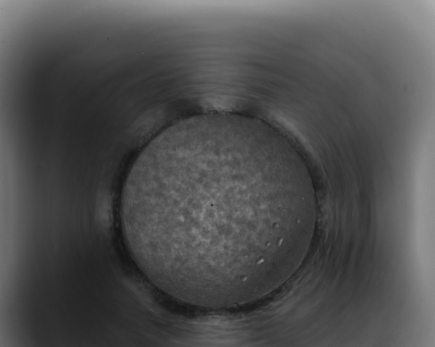 X0000088390738200705291408