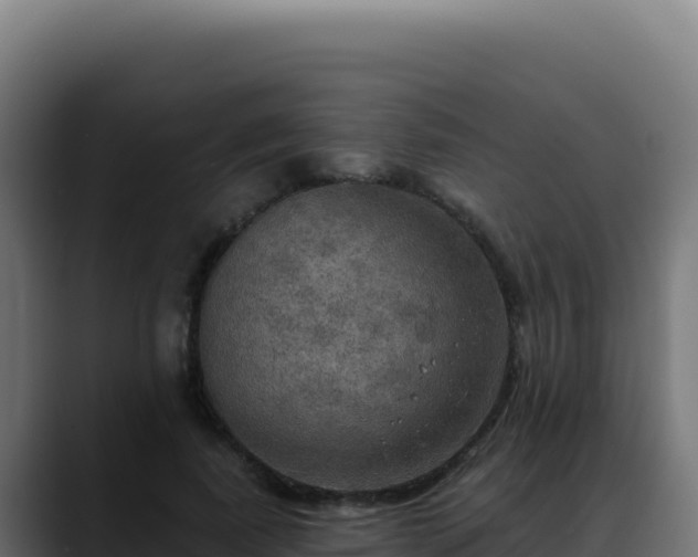 X0000088390739200705291408