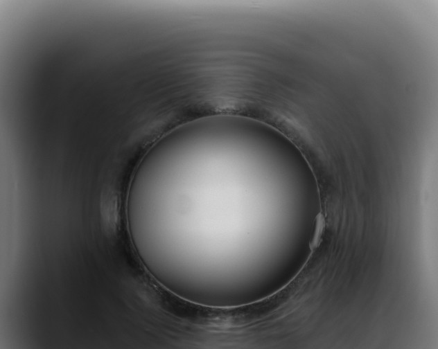 X0000088390740200705291408