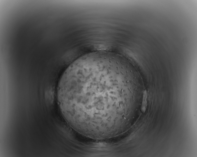 X0000088390741200705291408