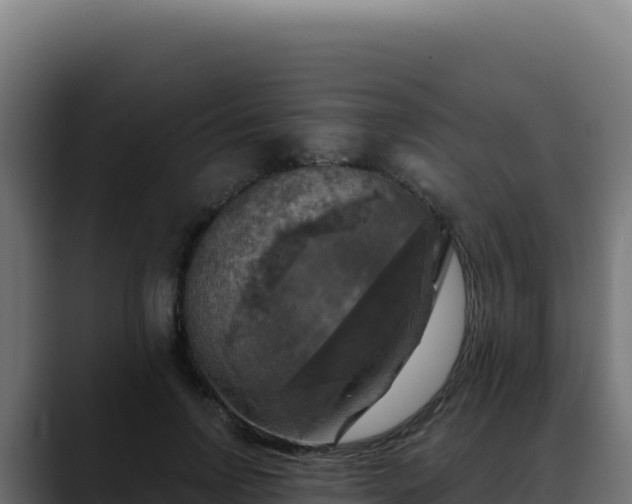 X0000088390742200705291408