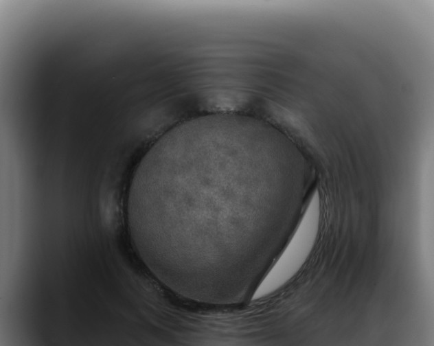 X0000088390743200705291408