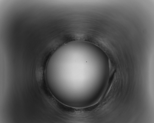 X0000088390744200705291408