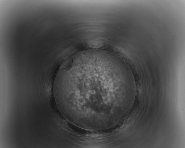 X0000088390745200705291408