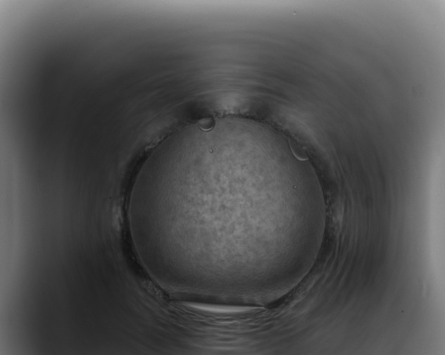 X0000088390746200705291408