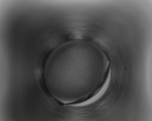 X0000088390747200705291408