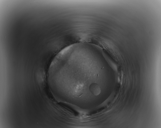 X0000088390748200705291408