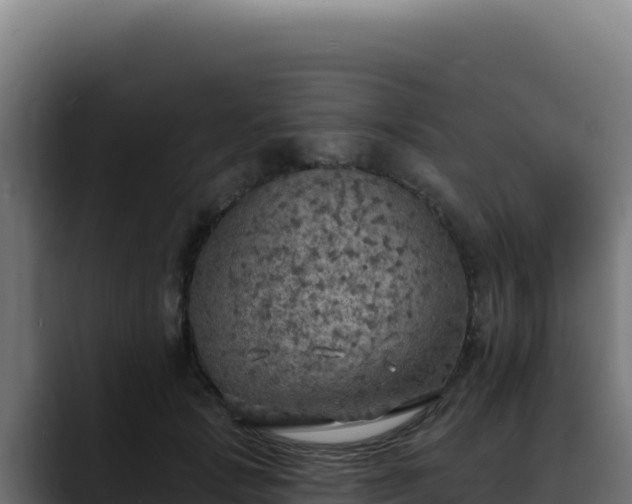 X0000088390749200705291408