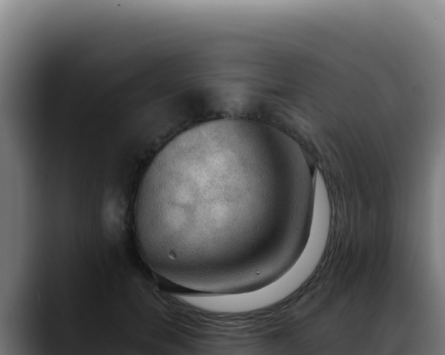 X0000088390750200705291408