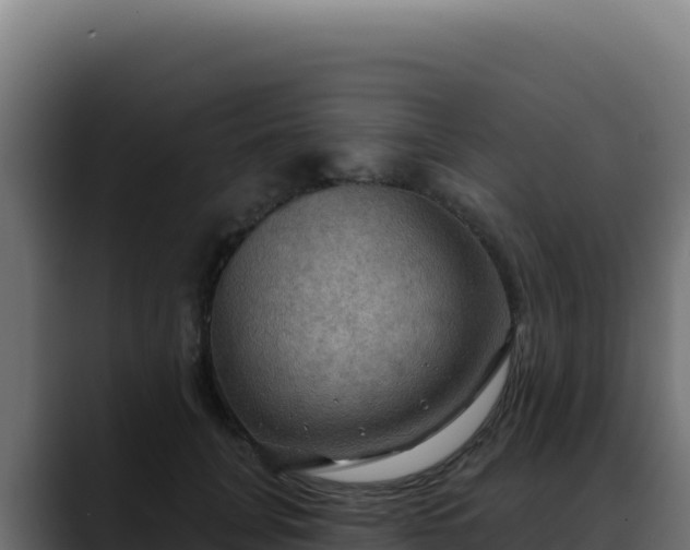 X0000088390751200705291408