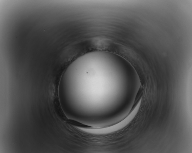 X0000088390752200705291408