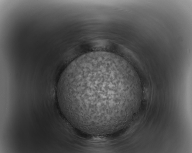 X0000088390753200705291408