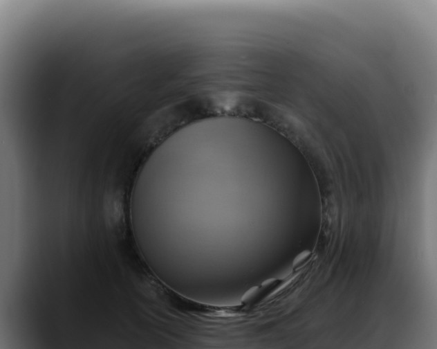 X0000088390754200705291408