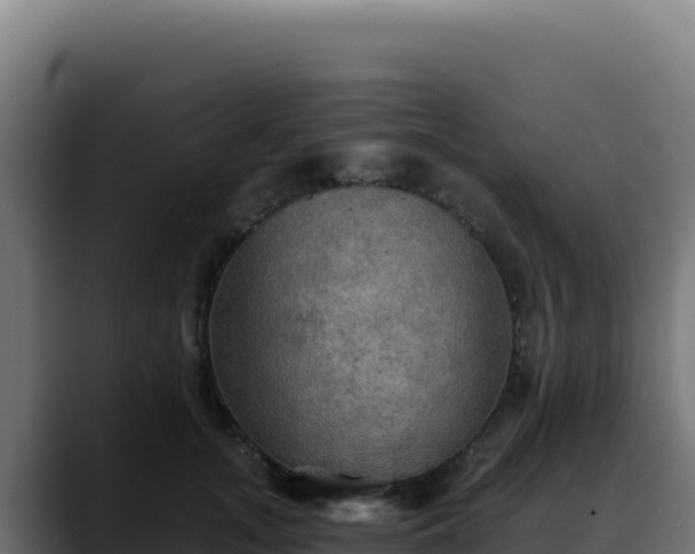 X0000088390755200705291408