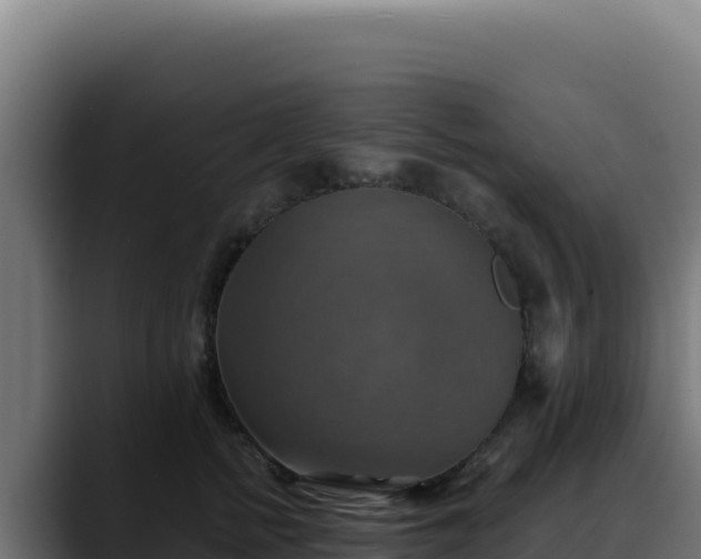 X0000088390758200705291408