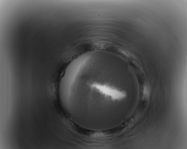 X0000088390759200705291408