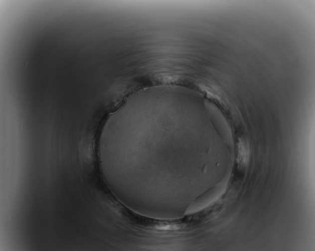 X0000088390760200705291408