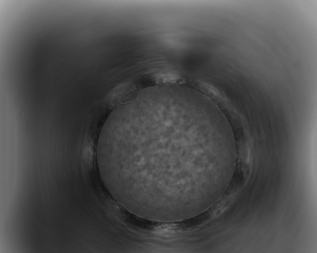 X0000088390761200705291408