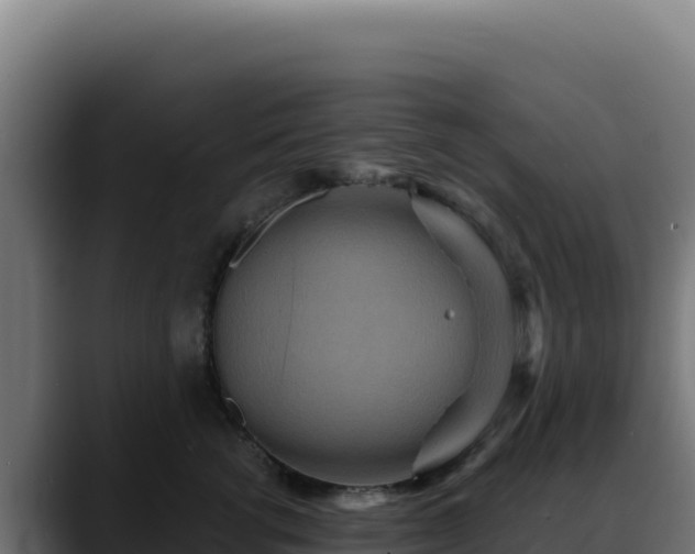 X0000088390762200705291408